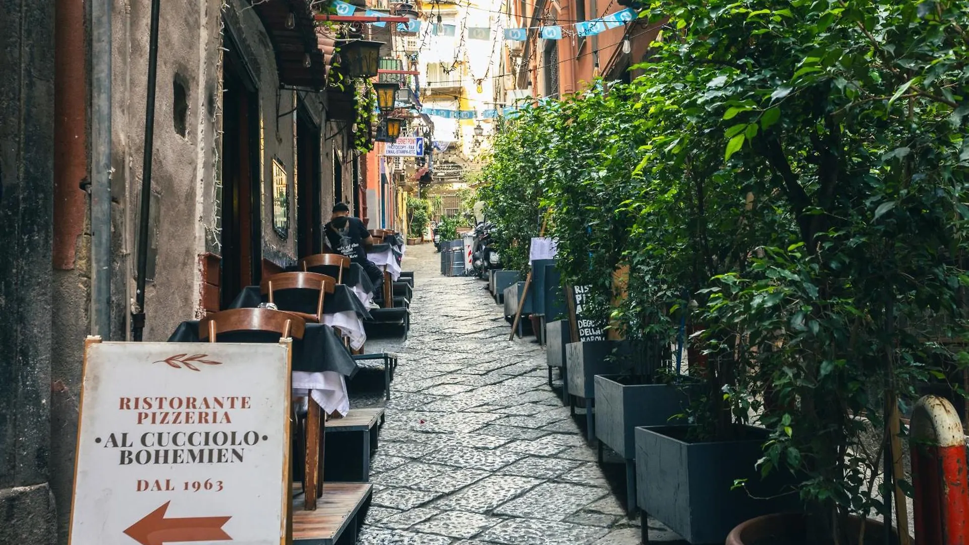Bed & Breakfast Bed and Breakfast Song House Centro Storico 2 Pax Napoli Italia